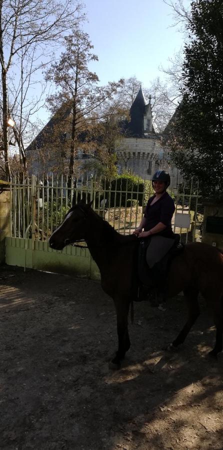 Chambre D'Hote En Vallee Du Loir - Elevage Des Rosiers Bazouges-sur-le-Loir エクステリア 写真
