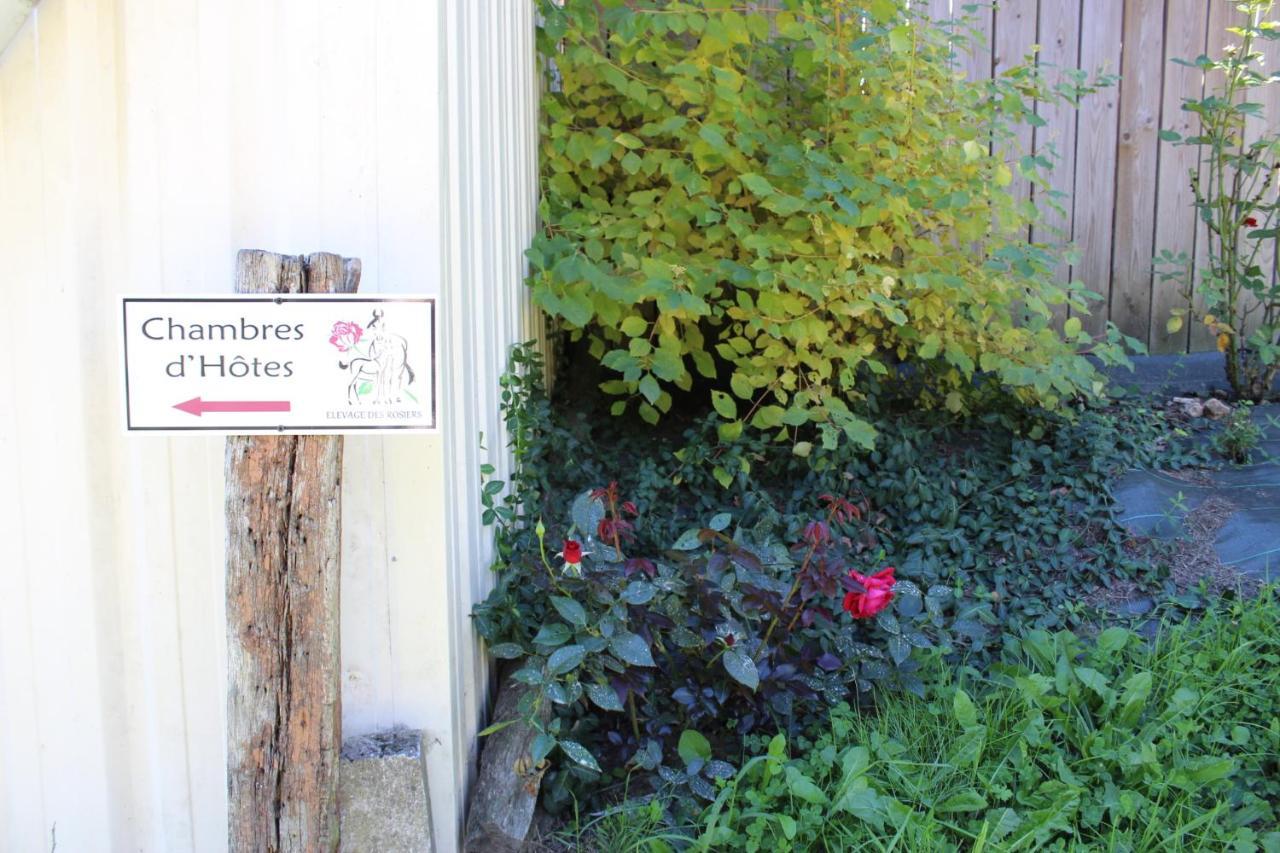 Chambre D'Hote En Vallee Du Loir - Elevage Des Rosiers Bazouges-sur-le-Loir エクステリア 写真