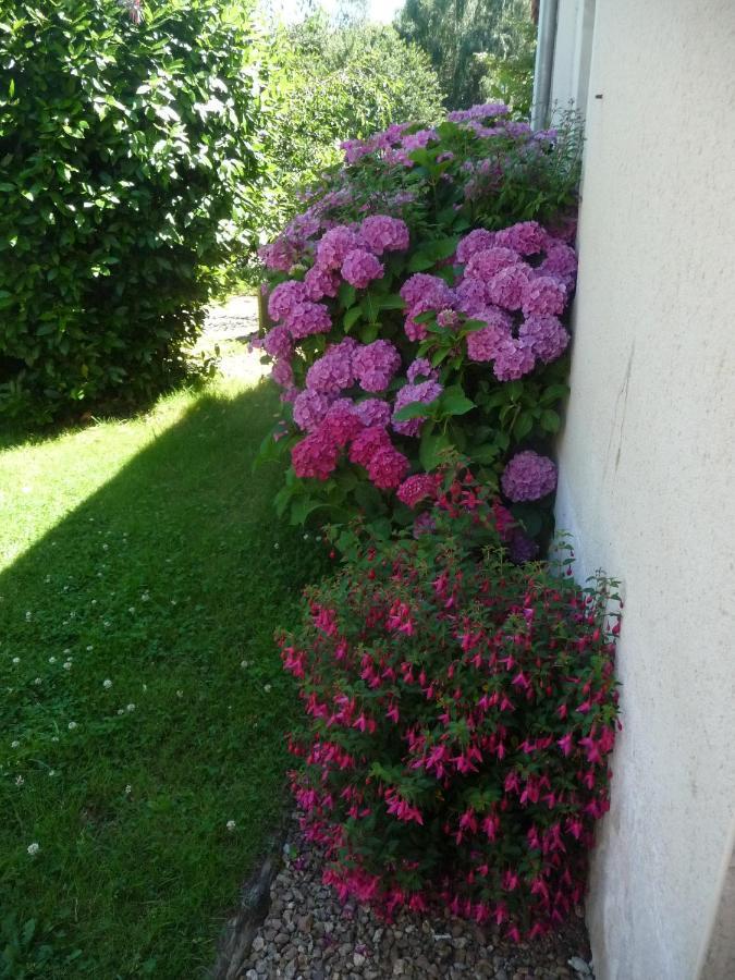 Chambre D'Hote En Vallee Du Loir - Elevage Des Rosiers Bazouges-sur-le-Loir エクステリア 写真