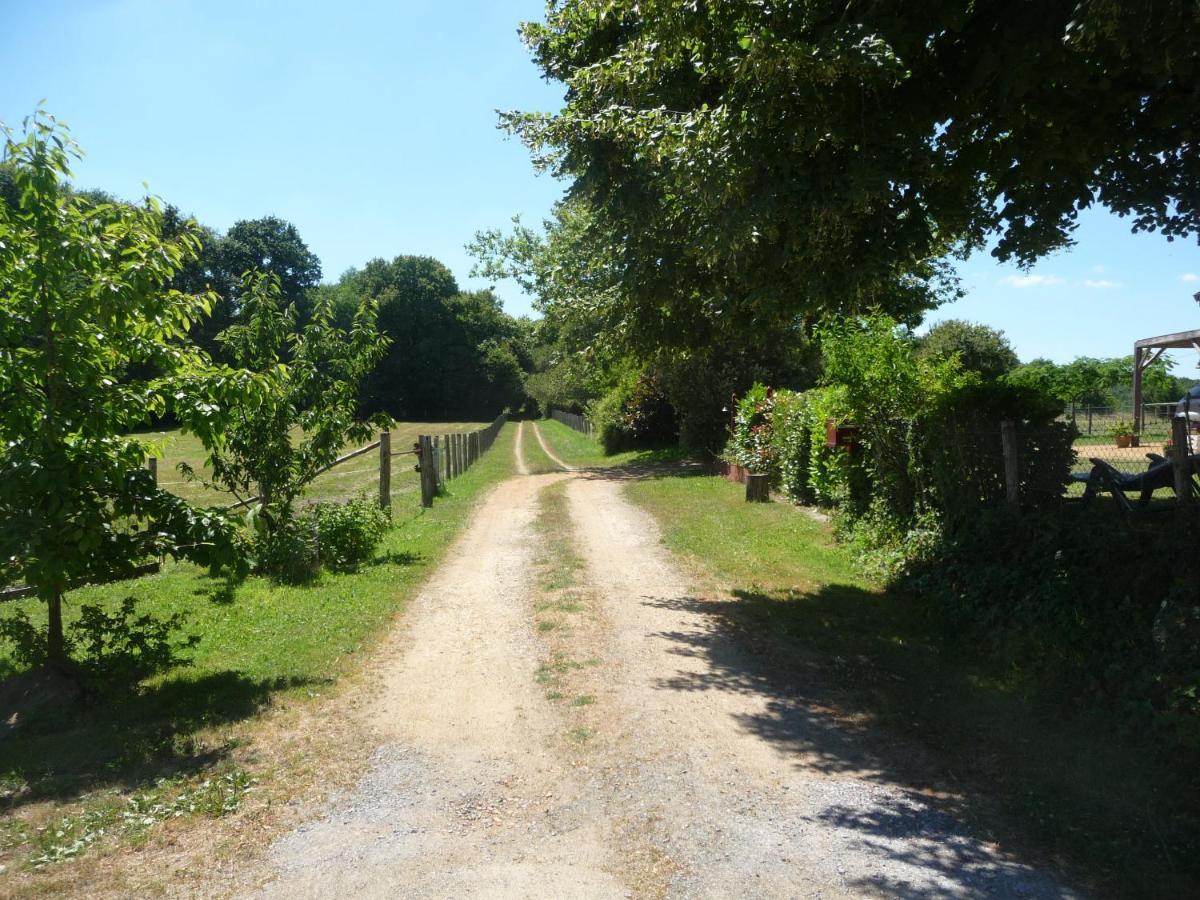 Chambre D'Hote En Vallee Du Loir - Elevage Des Rosiers Bazouges-sur-le-Loir エクステリア 写真